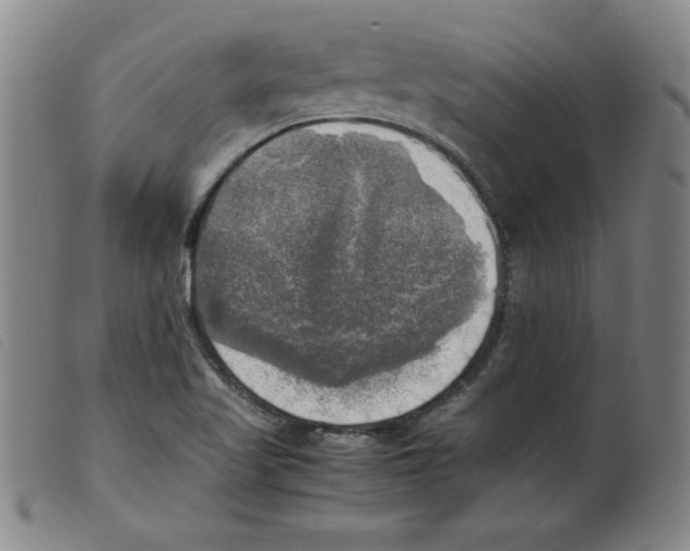 X0000098191509200805221505