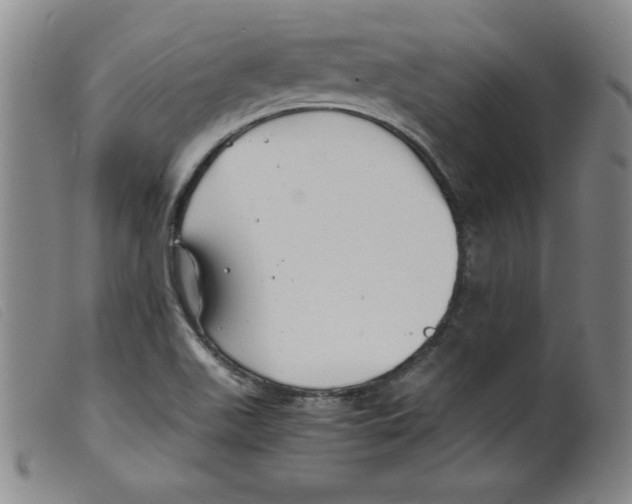 X0000098191511200805221505