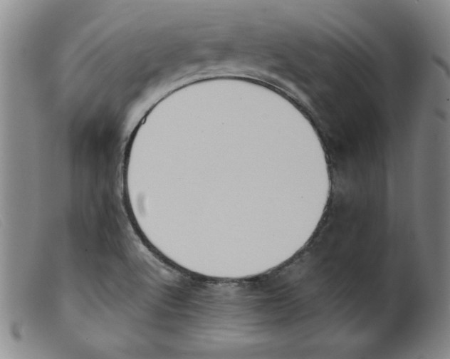 X0000098191512200805221505