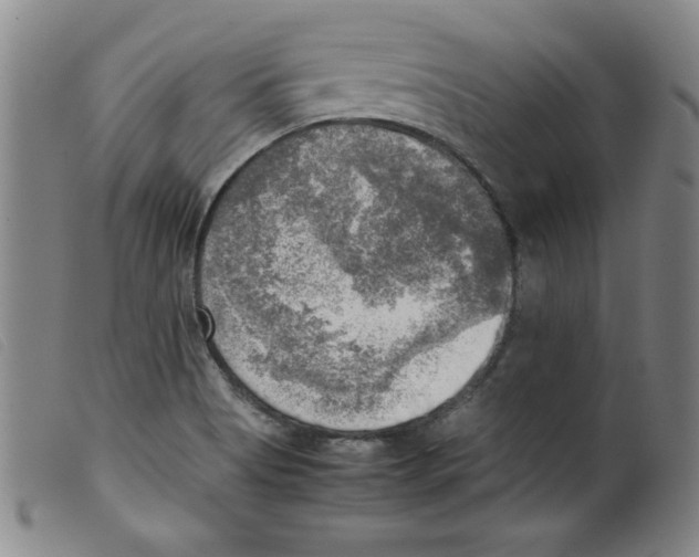 X0000098191513200805221505