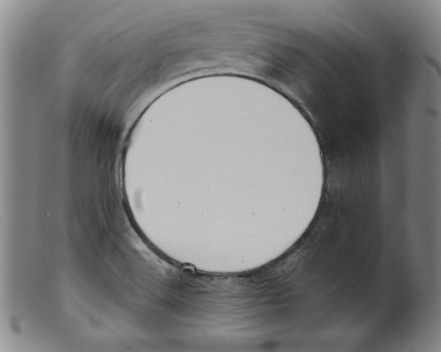 X0000098191516200805221505