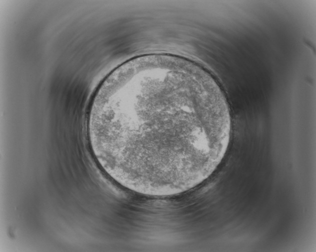 X0000098191517200805221505
