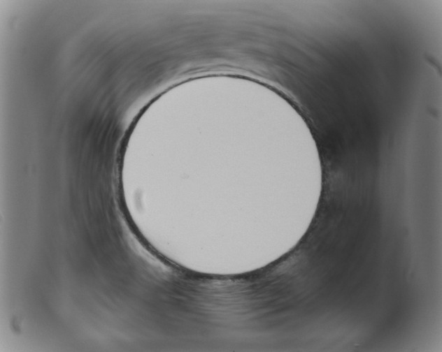 X0000098191518200805221505