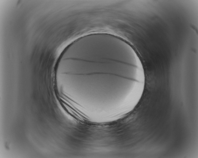 X0000098191519200805221505