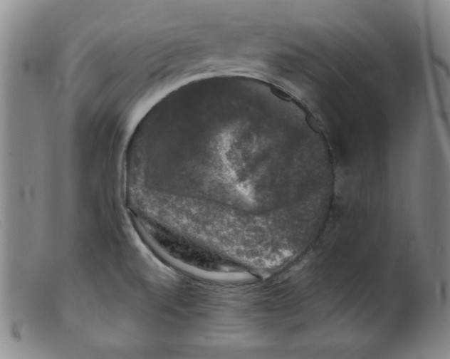 X0000098191520200805221505