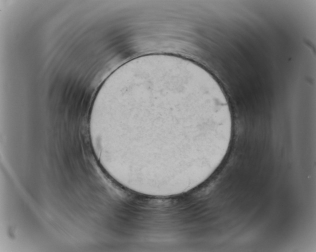 X0000098191521200805221505