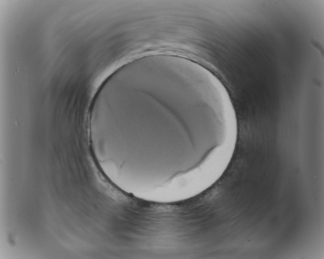 X0000098191522200805221505