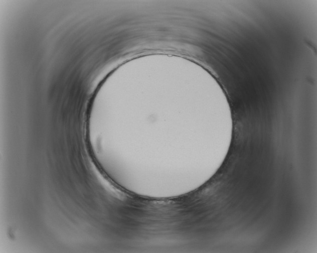 X0000098191523200805221505