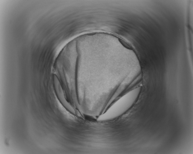 X0000098191524200805221505