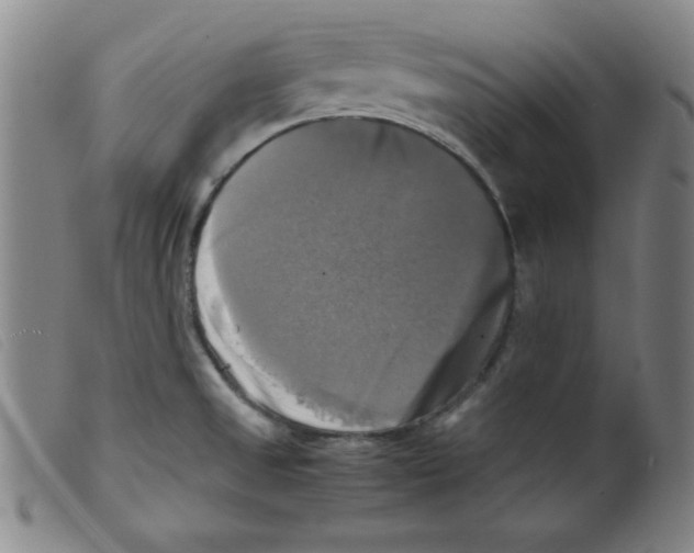 X0000098191525200805221505