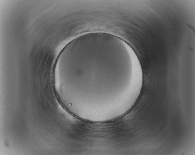 X0000098191527200805221505