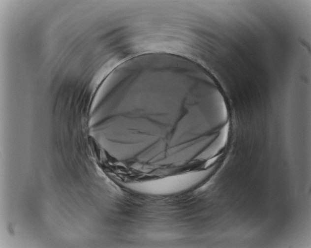 X0000098191529200805221505