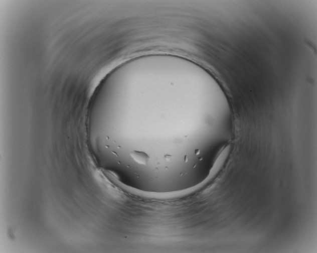 X0000098191530200805221505