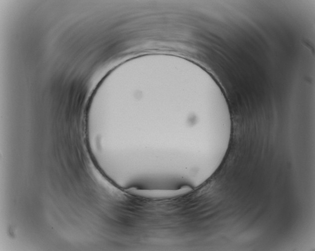 X0000098191531200805221505