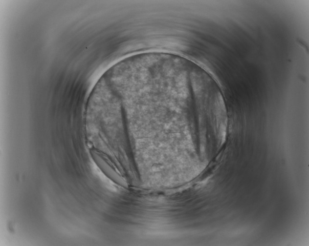 X0000098191532200805221505
