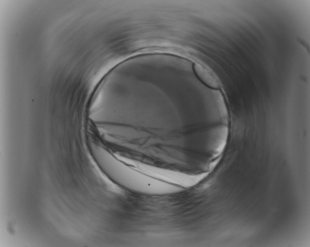 X0000098191533200805221505