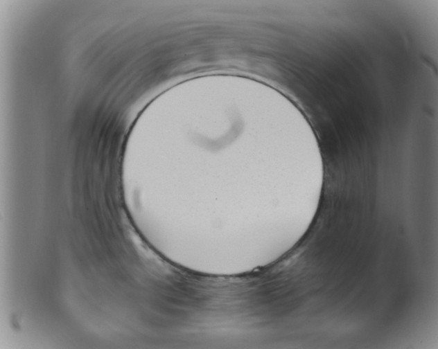 X0000098191534200805221505