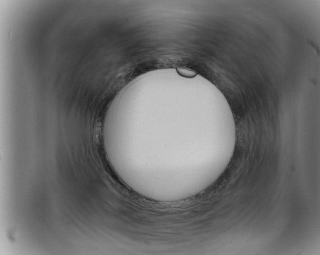 X0000098200038200804241048