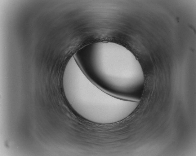 X0000098200039200804241048