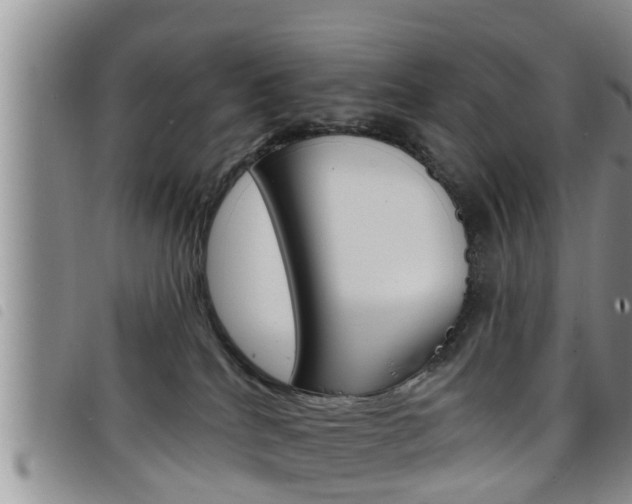 X0000098200040200804241048