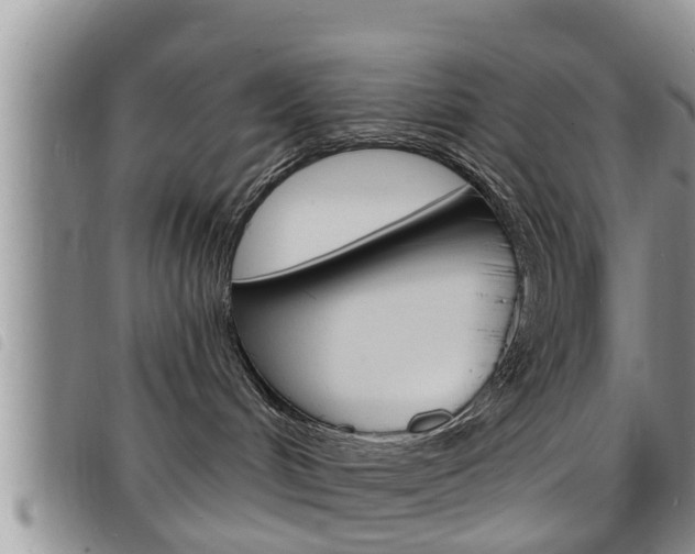 X0000098200048200804241048