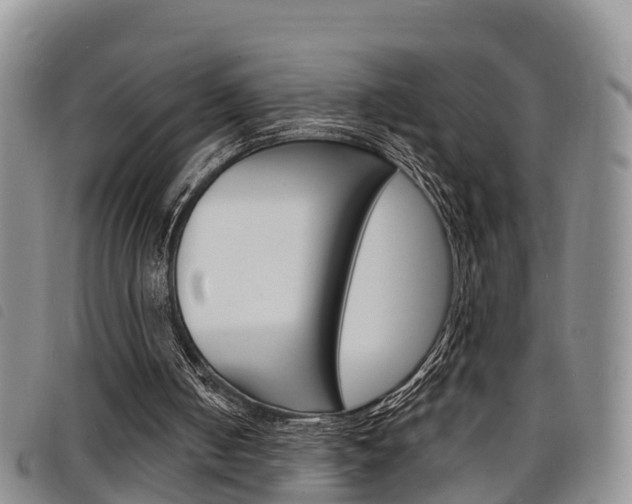 X0000098200050200804241048