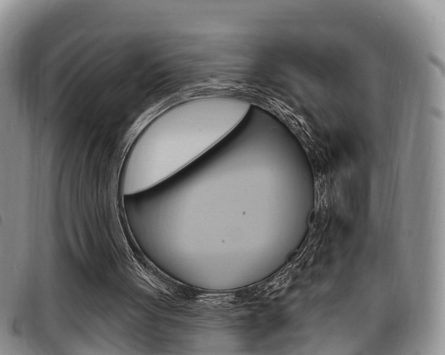 X0000098200051200804241048