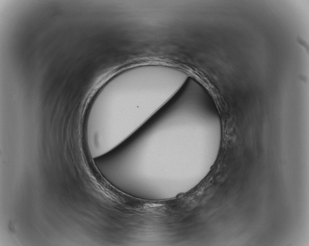 X0000098200055200804241048