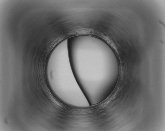 X0000098200057200804241048