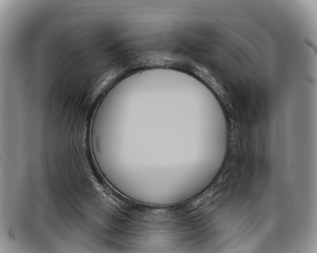 X0000098200058200804241048
