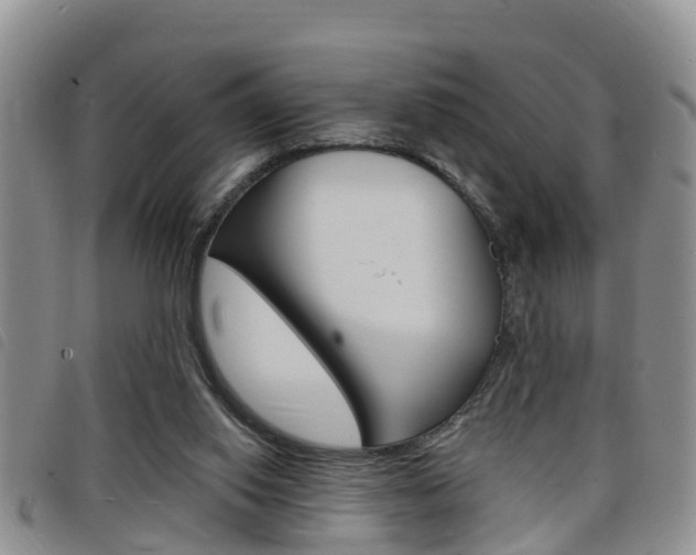 X0000098200062200804241048