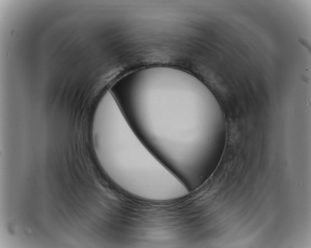 X0000098200068200804241048
