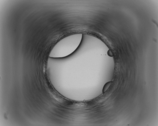 X0000098200069200804241048