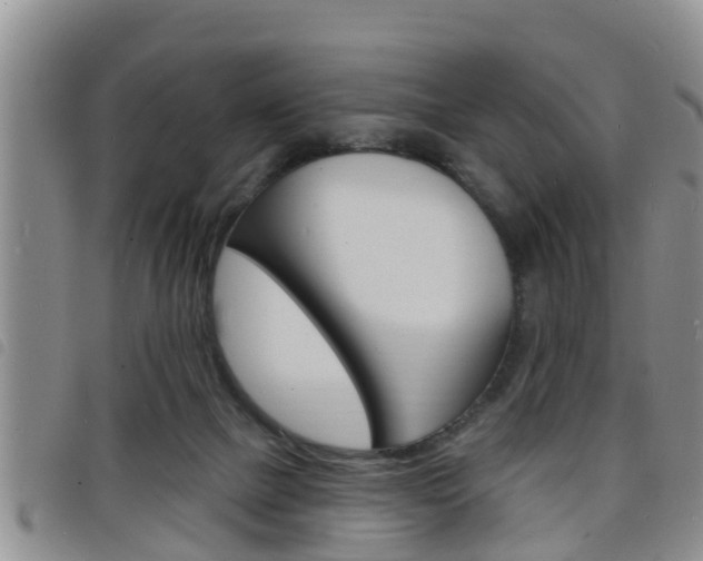 X0000098200073200804241048