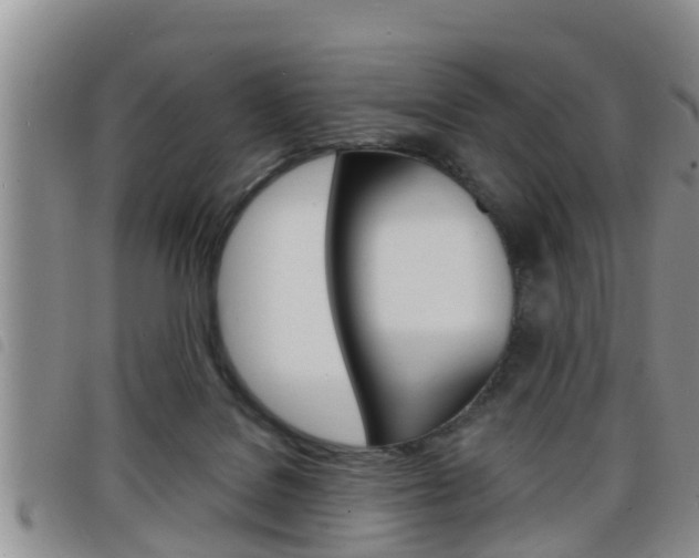 X0000098200076200804241048