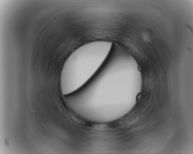 X0000098200079200804241048