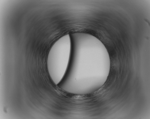 X0000098200082200804241048