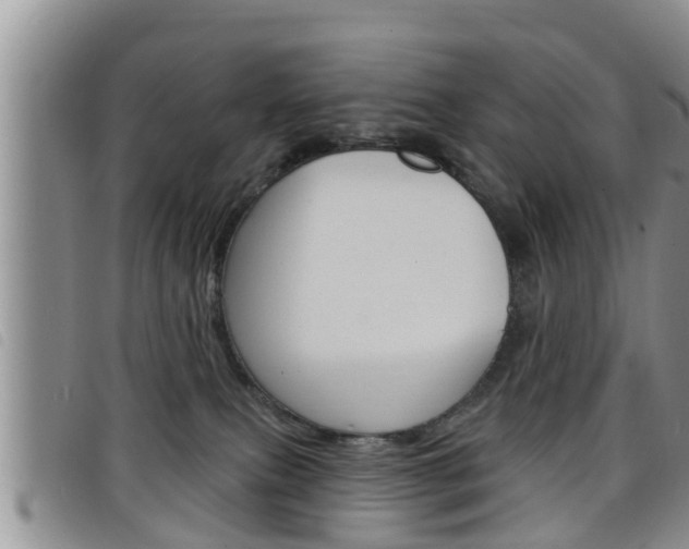 X0000098200087200804241048