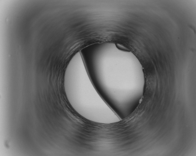 X0000098200092200804241048