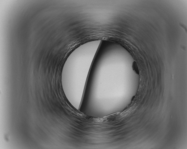 X0000098200096200804241048