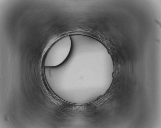 X0000098200102200804241048