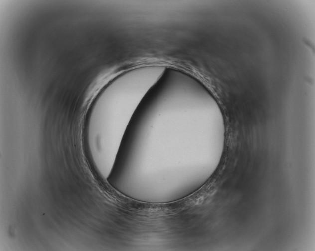 X0000098200103200804241048