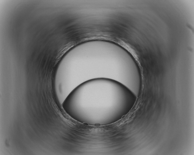 X0000098200105200804241048