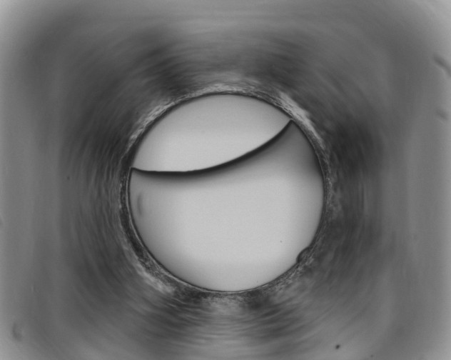 X0000098200106200804241047