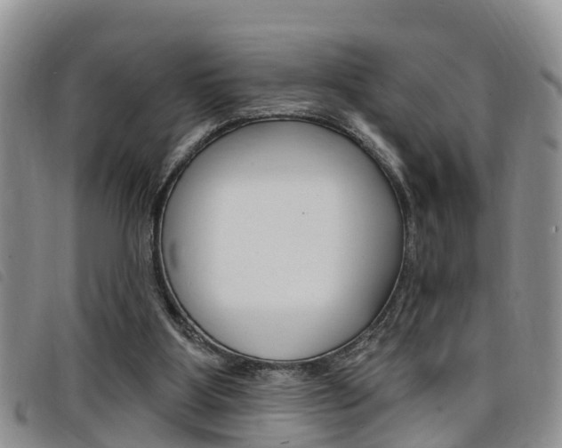 X0000098200107200804241047
