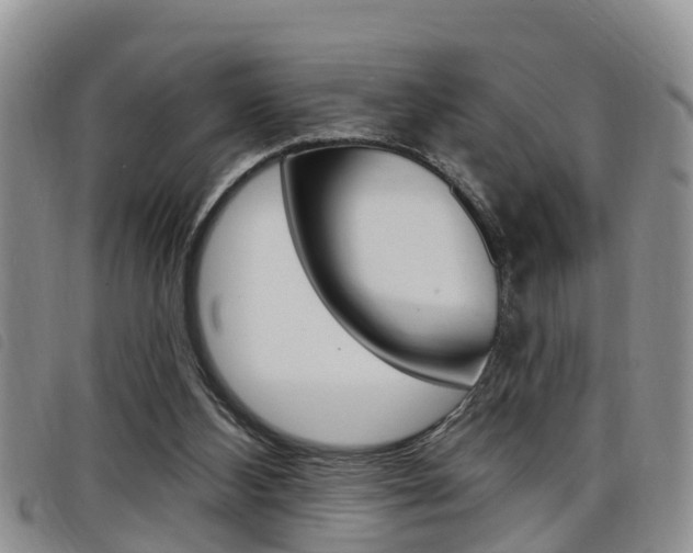 X0000098200108200804241047