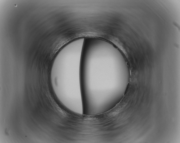 X0000098200109200804241047