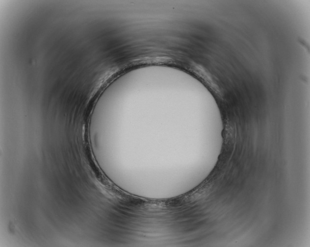 X0000098200110200804241047