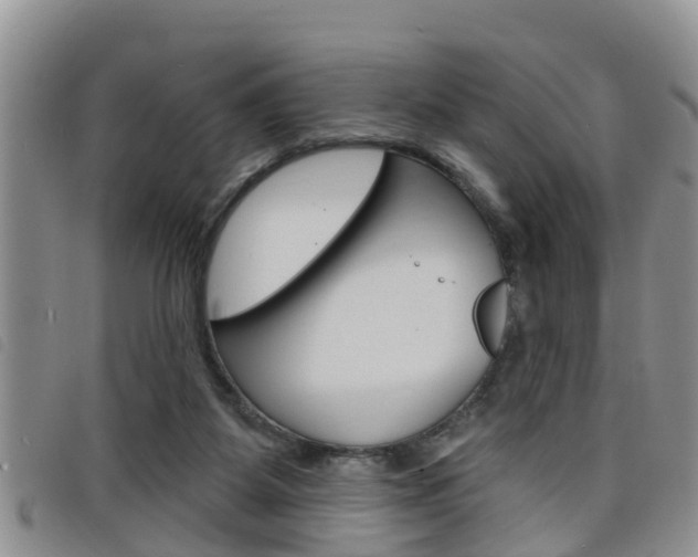 X0000098200115200804241047