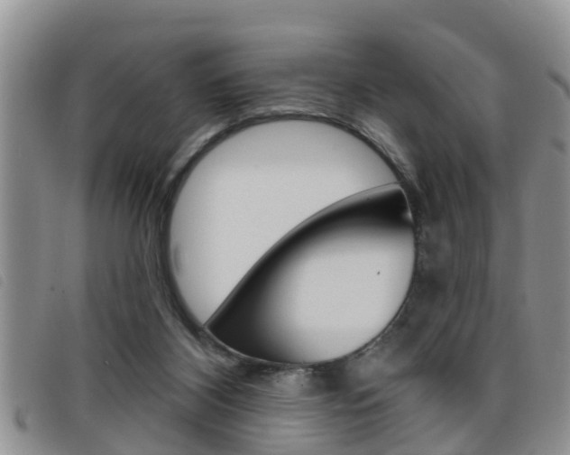 X0000098200116200804241047